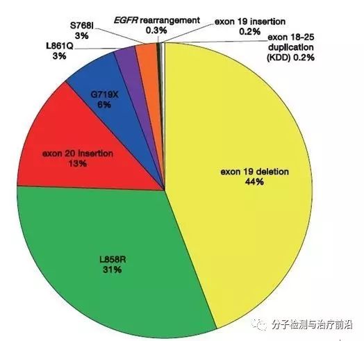 新澳门期期准精准|精选解析解释落实